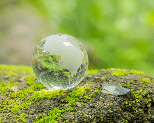 Planeta Tierra en forma de gota sobre una piedra con musgo, rodeada de naturaleza.