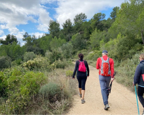 Caminata por la naturaleza